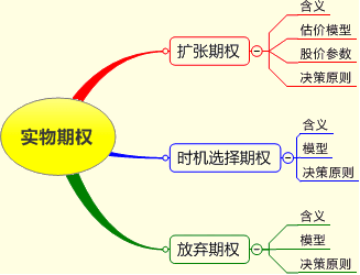 实物期权